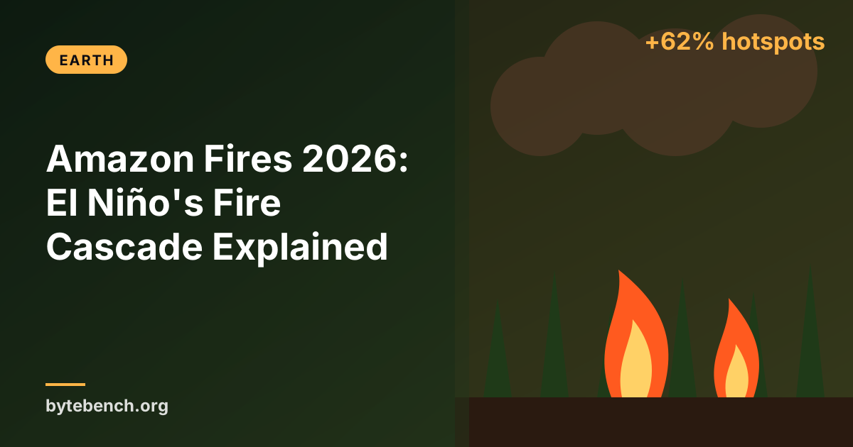 The Amazon Is Burning Again, and NASA Says the Worst May Be Yet to Come