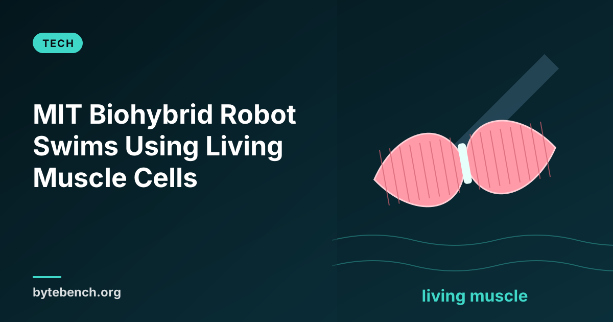 MIT's Paper-Thin Robot Swims on Living Muscle and Follows the Light