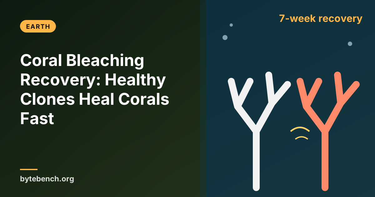 Bleached Corals Heal by Touching Their Healthy Twins