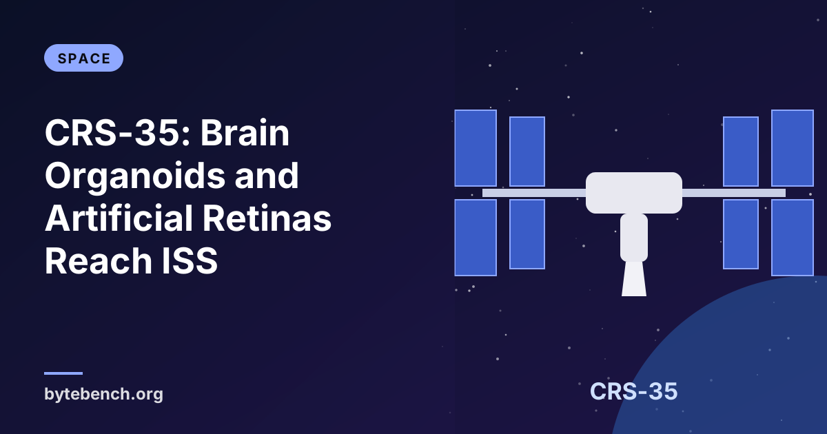 Mini Brains, Lab-Grown Hearts and Artificial Retinas: The Strange Cargo Now on the ISS